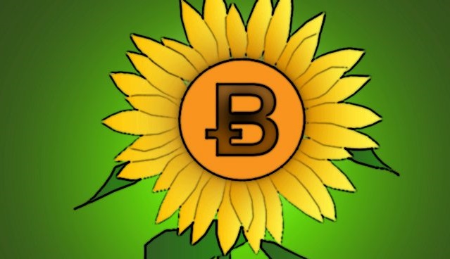 Der Krypto-Winter Könnte Wirklich Vorbei Sein, Während Bitcoin zu Blühen Beginnt