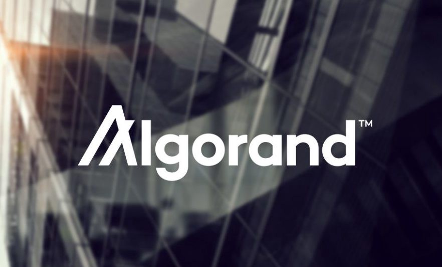 Algorand’s neues Programm soll Start-ups mit bis zu 500.000 Dollar fördern