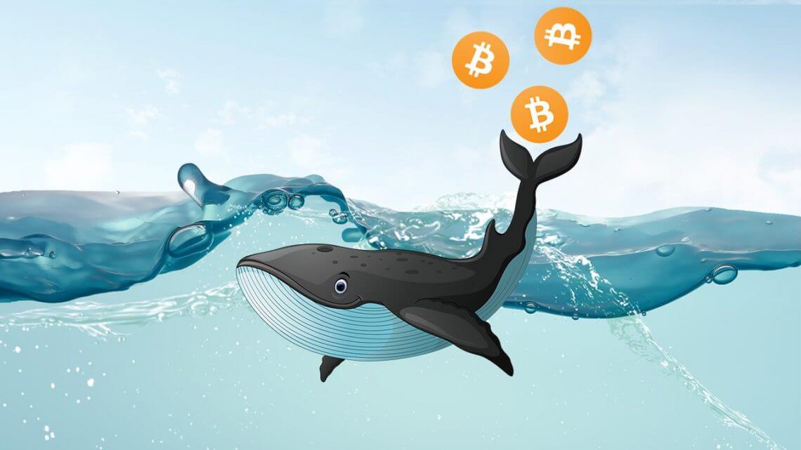 Bitcoin im Wert von einer Milliarde Dollar wurden von Anonymen Nutzer bewegt