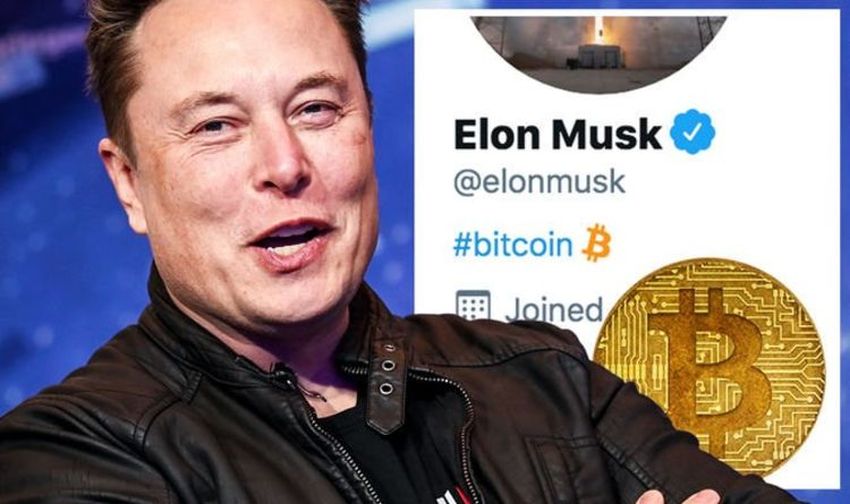 Elon Musk nennt BTC- und ETH-Preise “hoch”, während er Peter Schiff in den Boden stampft