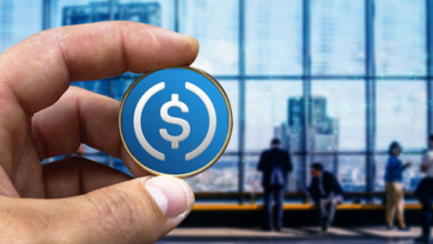 Der größte eintägige Druck von USDC markiert die geringste Dominanz von BTC seit Jahren