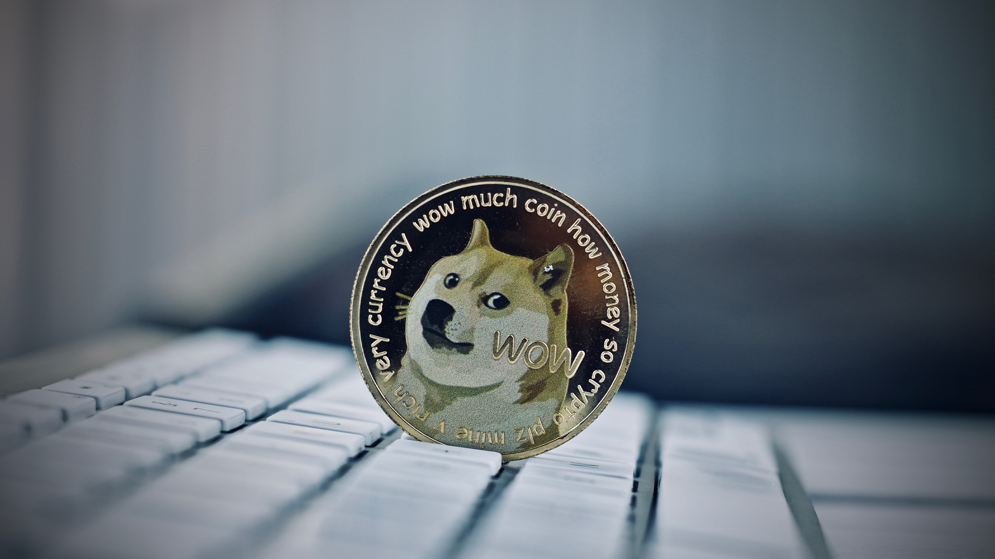 DOGE erlernt neue Tricks, da der Dogecoin-Preis mehr als einen halben USD beträgt