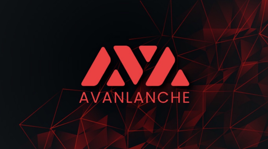 18,5 M$ wurden durch den Avalanche Ecosystem Accelerator aufgebracht