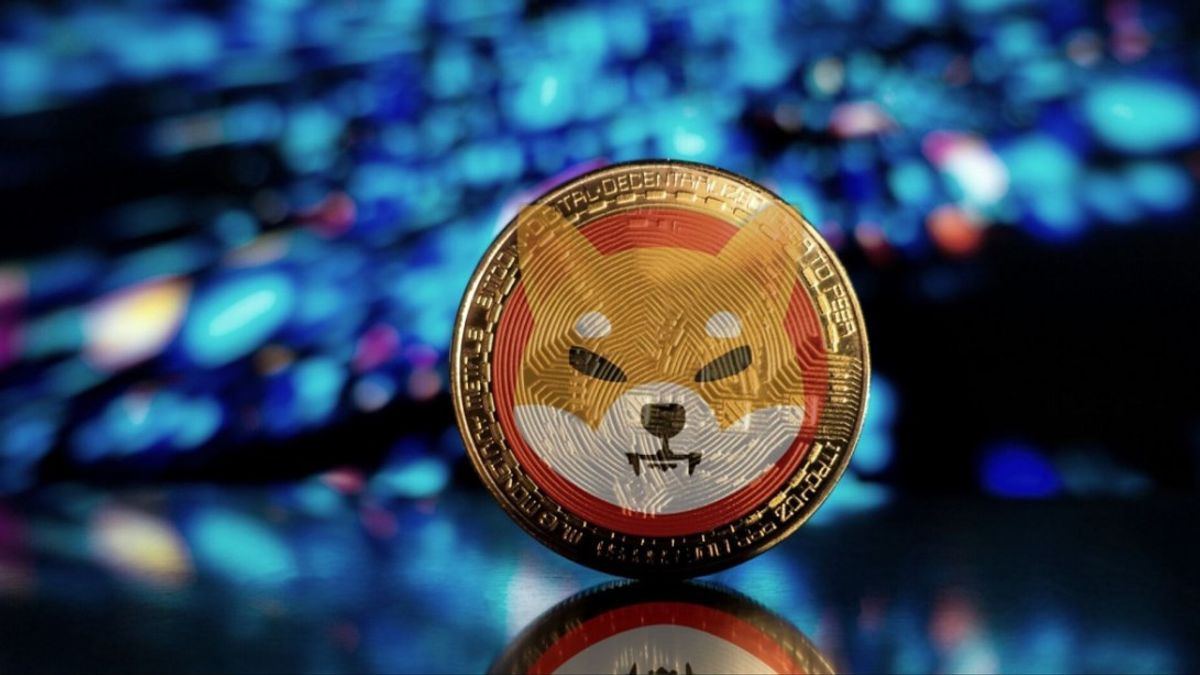 Är det möjligt att 1 miljon Shiba Inu-ägare inte kan ha fel?