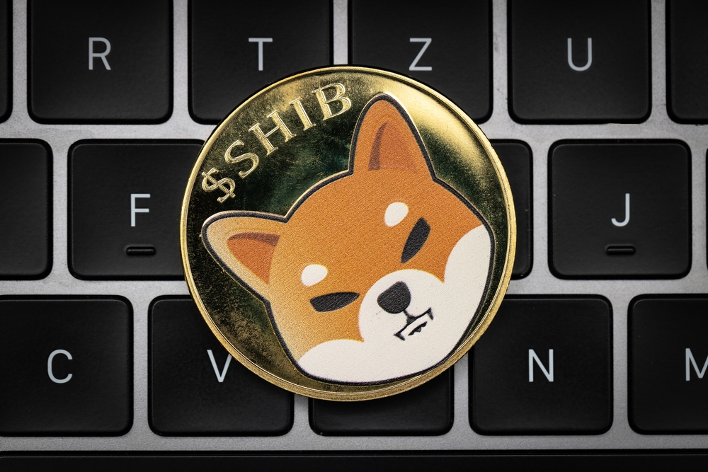 Shiba Inu Holders To Shop On Amazon And Subscribe to Netflix With The Token